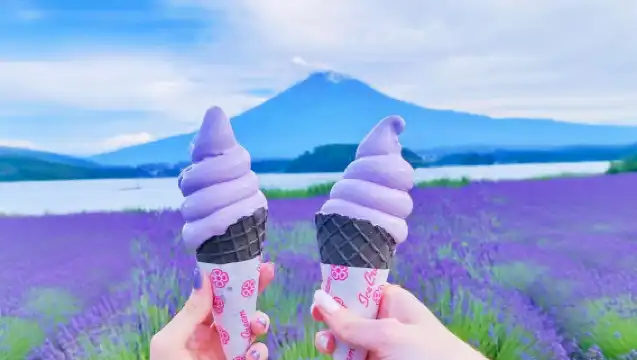 Iconic Fuji Adventure: Kawaguchiko, Stairway Town & Instagram Hotspots