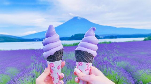 東京富士山一日遊，河口湖，天梯小鎮，忍野八海