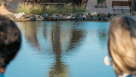 Dubai: safari guidato di lusso nel deserto + spettacolo di falconeria + cena + trasferimenti