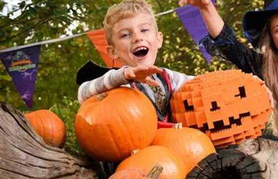 韋斯特切斯特樂高探索中心入場門票成人