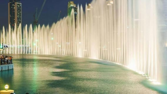 Dubai: Half Day Night City Tour with Transport