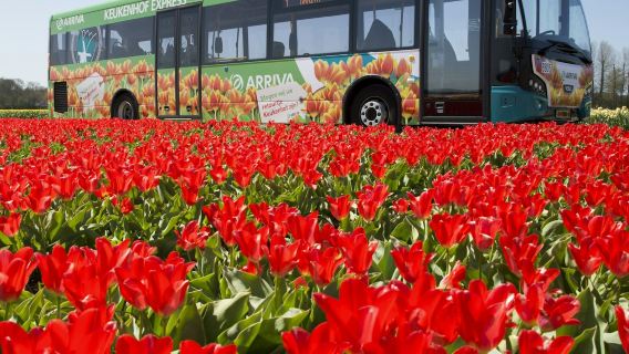 Amsterdam : Billet de voyage pour la ville et la région