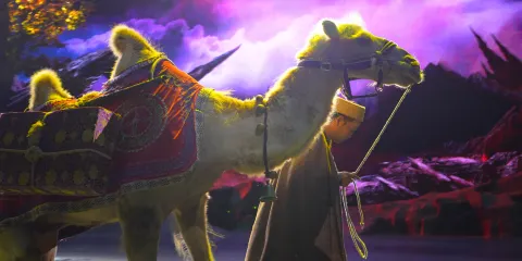 秦始皇帝陵博物院(兵馬俑)+ 中/英文導遊 + 駝鈴傳奇一日遊