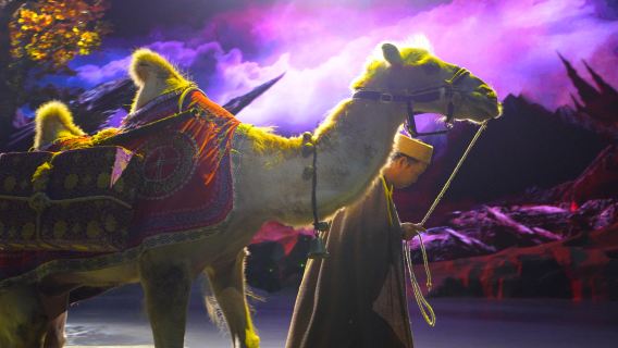 Emperor Qinshihuang's Mausoleum Site Museum (Terracotta Army) + Chinese/English Guide + Legend of Camel Bell 1-day Tour