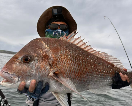 Memancing di Auckland, Selandia Baru - Paket lengkap 6 jam memancing di yacht