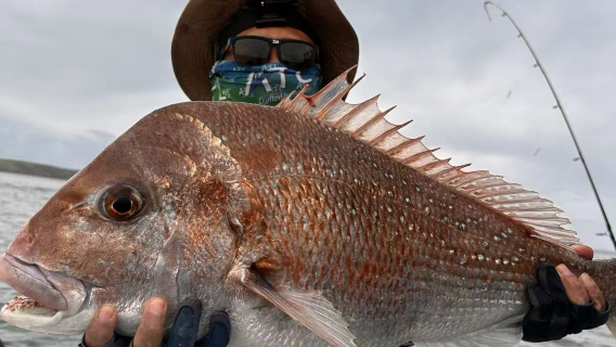 Auckland, New Zealand Deep Sea Fishing - 6hr All-Inclusive Yacht Fishing Trip