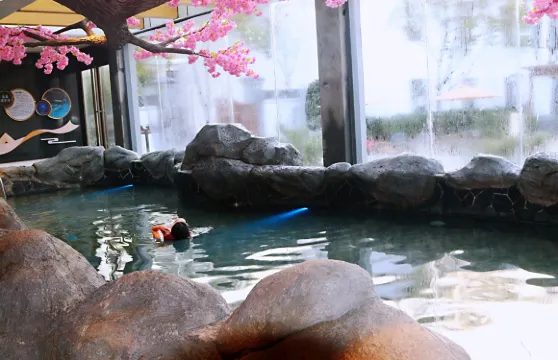 合肥市區包車來回｜廬江一號泉漂浮溫泉一日包車遊(多車型可選）