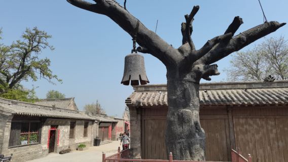 中國古動物館+冉莊地道戰紀念館一日遊