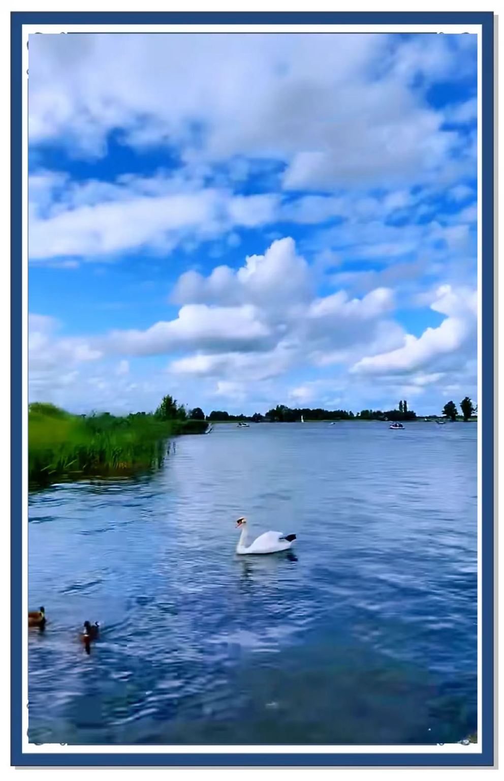 馬爾肯+羊角村+代爾夫特