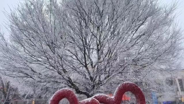 中國湖北+神農架冬季秘境探索1日遊