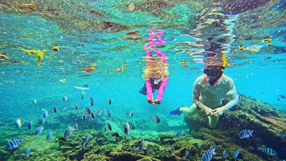 Phu Quoc An Thoi Schnorcheln Halbtagesausflug mit professionellem Guide und hochwertiger Schnorchelausrüstung