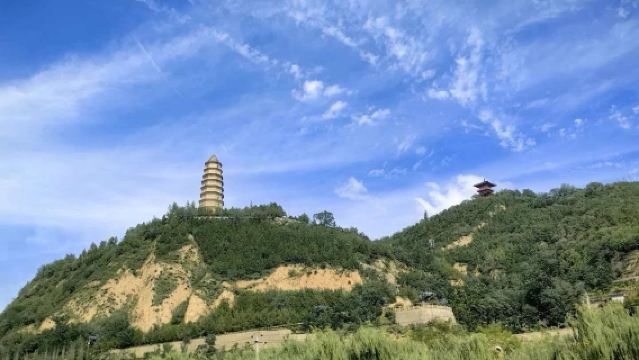 寶塔山+棗園舊址+紅秀延安+革命紀念館+棗園+楊家嶺一日遊