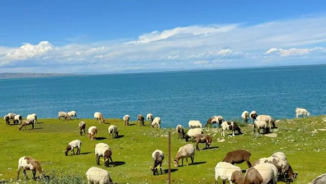 [1 hari] Lawatan sehari ke Tasik Garam Chaka + Tasik Qinghai + Gunung Riyue [Pelbagai pakej perjalanan]