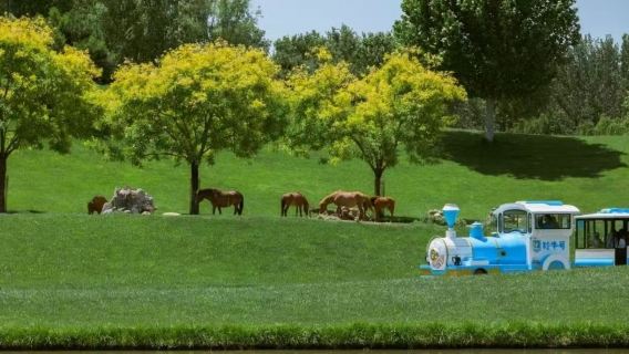 Lawatan sewa peribadi ke Taman Hidupan Liar Beijing Beijing [satu kumpulan satu keluarga/termasuk tiket masuk + pilihan pemandu berbahasa Cina/Inggeris]