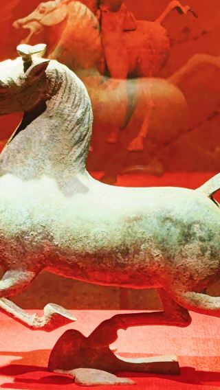 甘肅省博物館｜含門票預約｜認證講師2小時深度導覽｜含無線耳麥