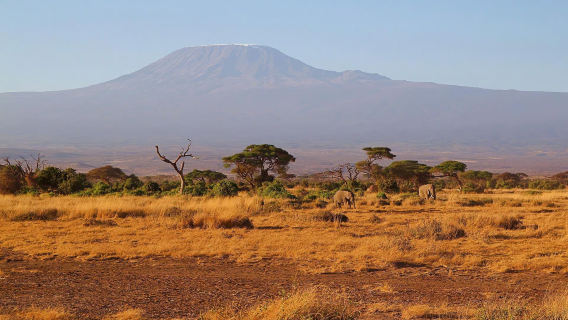 Excursión de un día al Parque nacional de Amboseli desde Nairobi, Kenia