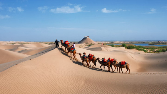 Lawatan sehari ke Padang Pasir Dawakun | Bertolak dari Kashgar · bas ekspres pergi-balik · termasuk tiket masuk bas ulang-alik
