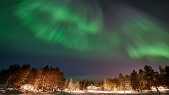Luleå : Northern lights snowmobile tour