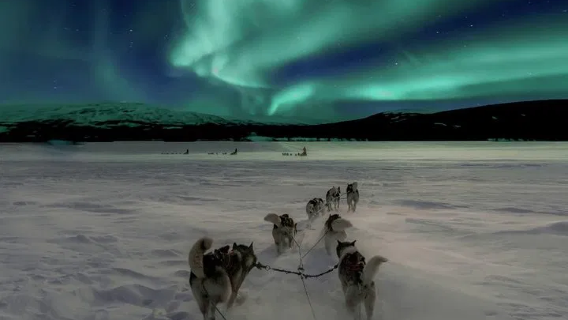 Rovaniemi in Finlandia: motoslitta, slitta trainata da husky o renne per ammirare l'aurora boreale in modi diversi