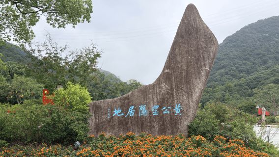 Hangzhou 1-day tour [Provincial Museum to see the Fuchun Mountains painting + Hermitage of Huang Gongwang] 2-6 people small group
