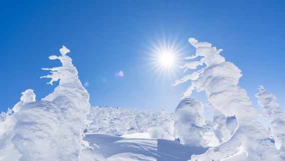 1-day tour to Frost-covered Trees in Zaō Mountains + Zaō Fox Village: Departing from Sendai Station