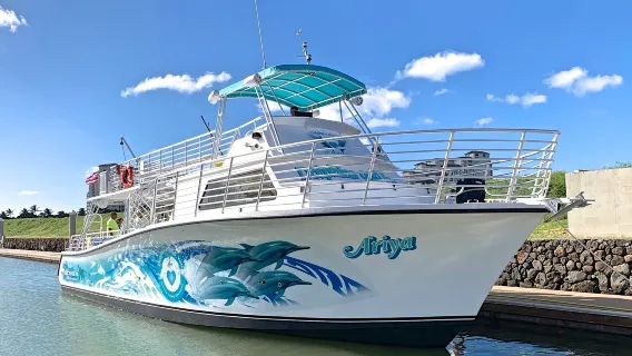 Oahu Dolphin Watching & Snorkeling Tour in Hawaii
