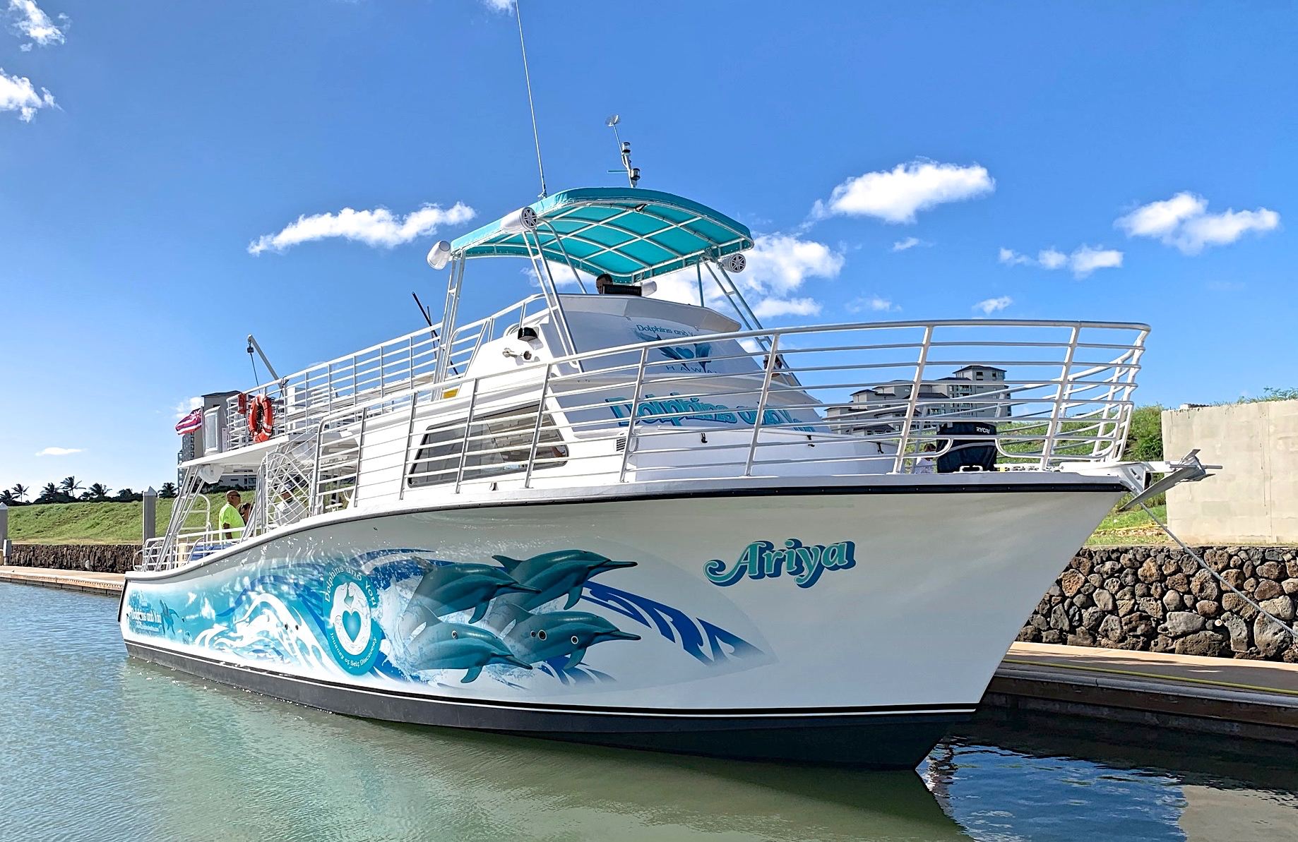 Oahu Dolphin Watching & Snorkeling Tour in Hawaii