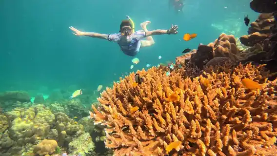 ทัวร์วันเดียวเที่ยวเกาะรอกใหญ่+เกาะห้า ประเทศไทย|ประสบการณ์ล่องเรือออกทะเล+เที่ยวเกาะ+ดำน้ำตื้น