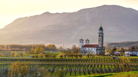 Vipava Valley Wine Express