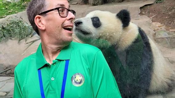 ChengduTours