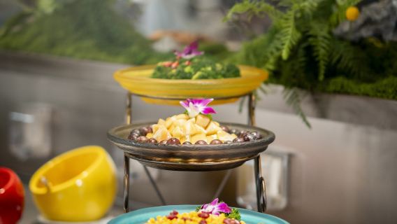 兩壩一峽遊船+升降機+大壩一日遊【贈KFC/VIP臻享遊】