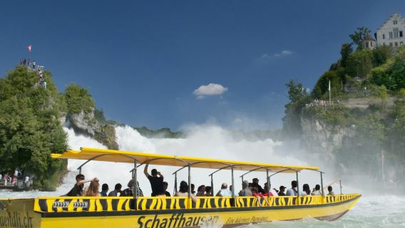 Cascate del Reno e Stein am Rhein: trasporto da Zurigo