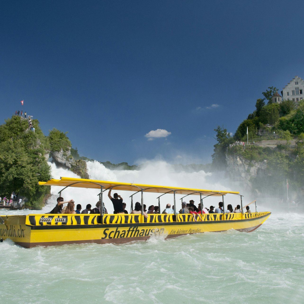 Rhine Falls & Stein am Rhein: Transport from Zurich