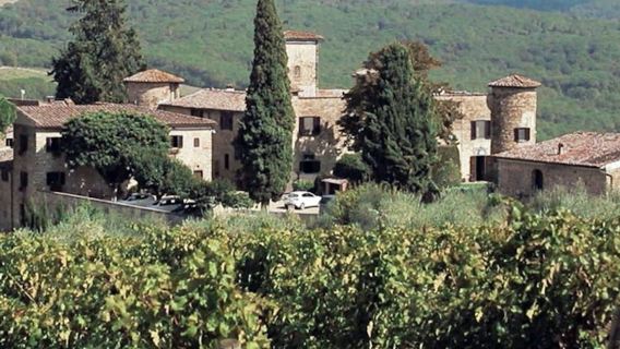 Chianti: Wine & Olive Oil Tasting with Guided Tour + Roundtrip from Florence