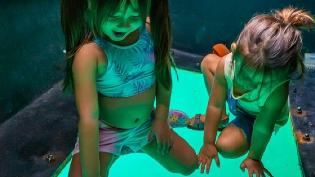 Honolulu : Excursion en bateau avec feux d'artifice