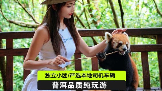 普洱日遊