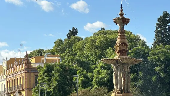 스페인 세비야 일일 투어+ 골든타워 + 사제 병원 + 왕립 담배 공장 (중국어 및 영어 서비스 제공)