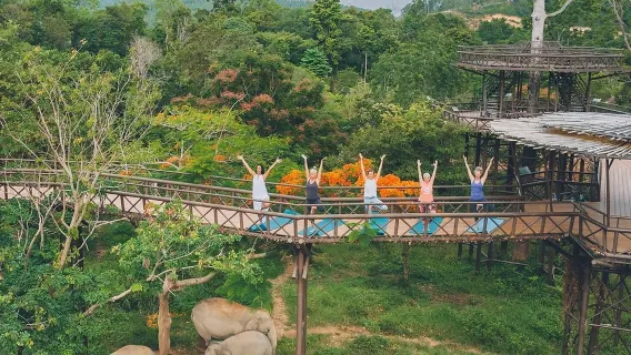 蘇梅島大象王國【餵大象|空中步道|網紅大象咖啡廳
