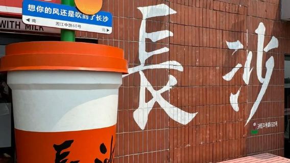 Changsha Customized one-day tour | Professional guide Service | Chinese and English guide Guide | Minority Language Available