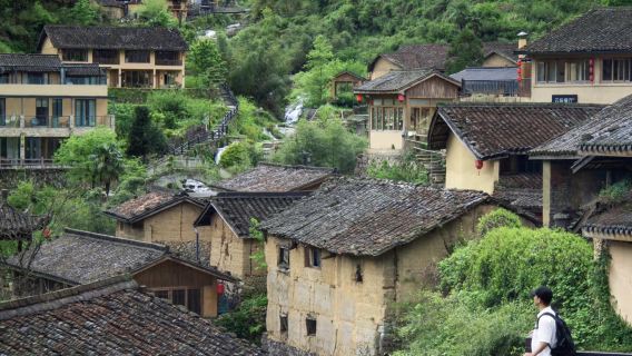 麗水—慶元縣：百山祖+月山村+巾子峰森林公園 景點可訂製G