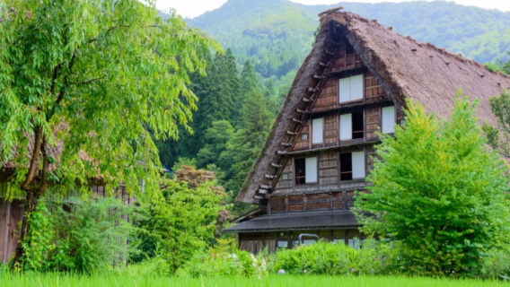 日本名古屋|探訪童話村落白川鄉合掌村+荻町城跡觀景台+明善寺