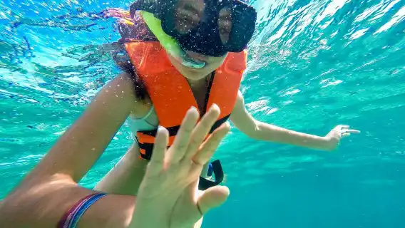 Guided Puerto Morelos reef snorkeling with lunch from Cancun