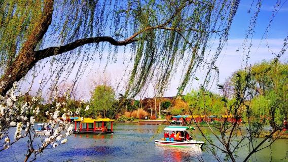 江蘇揚州:ガイド地元案内|貸切チャーター日帰りツアー|1グループ専用【中国語・英語など多言語対応】#