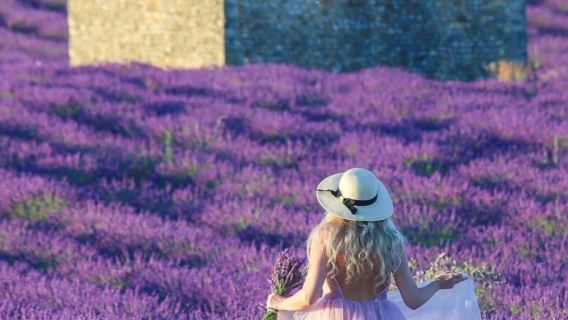 法國普羅旺斯+聖十字湖+瓦朗索勒+陶瓷小鎮一日遊【酒店接送】