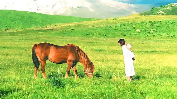 Kyushu, Nhật Bản: Chuyến đi trong ngày đến Núi Aso, Kusasenri, Suối nước nóng Kurokawa và Đền Aso