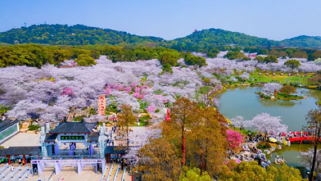 Yellow Crane Tower + East Lake Scenic Area + Wuhan Playa Maya Water Park + Yangtze River Night Cruise