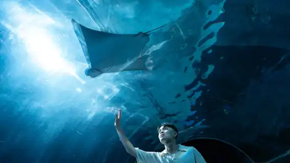 Hualien Farglory Ocean Park | Sleepless Night by the Ocean, Overnight Stay at the Aquarium, Overnight Stay at the Dolphin Pavilion, Accommodation Experience | Summer Sales Now On