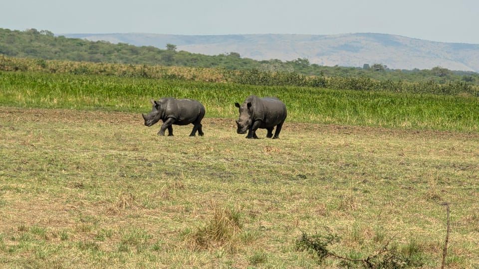 Pendedahan selama 8 hari di seluruh Rwanda dan Uganda