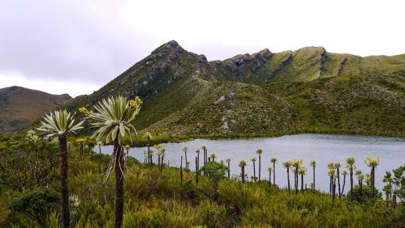 Chingaza: La montaña del agua