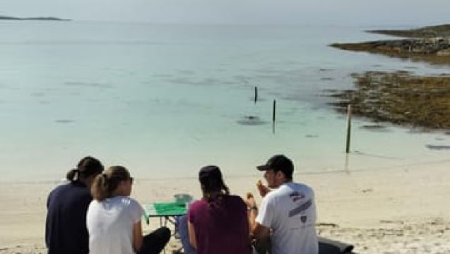 เซนยา: ท่องเที่ยวพายเรือคายัคในอุทยานแห่งชาติออนเดอร์ดาเลนพร้อมไกด์